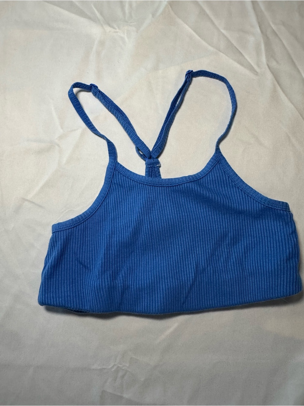 WSLY Electric Blue Ribbed bra